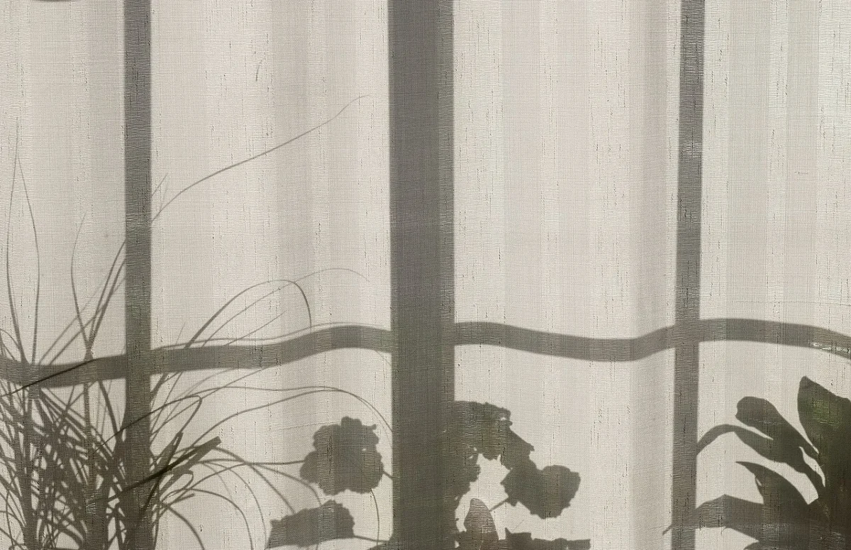 Sombra de una ventana y de unas plantas sobre una cortina, el domicilio familiar en los casos de violencia de género y orden de alejamiento