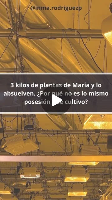 Reel: 3 kilos de plantas de marihuana y lo absuelven. ¿Por qué no es lo mismo posesión que cultivo?